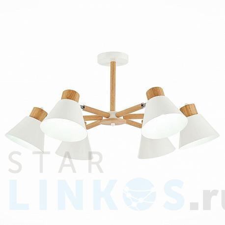 Купить Потолочная люстра Evoluce Buve SLE103702-06 за 15 740 руб. в Туле фото 2 Купить с доставкой Потолочная люстра Evoluce Buve SLE103702-06 в Туле фото 2