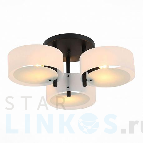 Купить Потолочная люстра Evoluce Foresta SL483.402.03 за 13 060 руб. в Туле фото 2 Купить с доставкой Потолочная люстра Evoluce Foresta SL483.402.03 в Туле фото 2