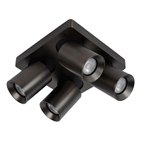 Купить Спот Lucide Nigel 09929/20/16 в Туле