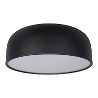 Купить Потолочный светодиодный светильник Loft IT Axel 10201/480 Black в Туле