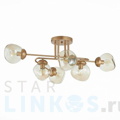 Купить Потолочная люстра Evoluce More SLE155702-06 за 11 010 руб. в Туле фото 2 Купить с доставкой Потолочная люстра Evoluce More SLE155702-06 в Туле фото 2