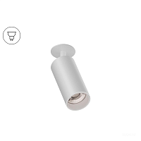 Купить Потолочный светильник 6063 Trunk IN (RAL9003/D55 — GU10) 0830202 в Туле