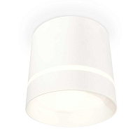 Купить Комплект накладного светильника Ambrella light Techno Spot XS (C8110, N8461) XS8110006 в Туле