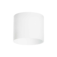 Купить Потолочный светильник Lightstar Rullo 213486 в Туле