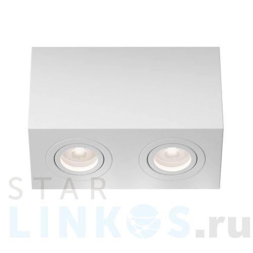 Купить с доставкой Потолочный светильник Maytoni Technical Atom C017CL-02W в Туле