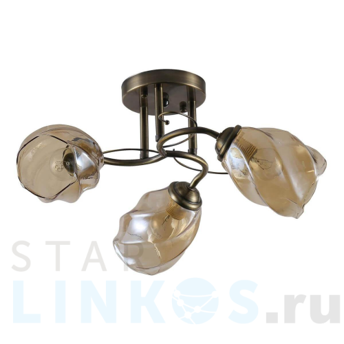 Купить Потолочная люстра Rivoli Bruna 9130-303 Б0054736 за 5 106 руб. в Туле Купить с доставкой Потолочная люстра Rivoli Bruna 9130-303 Б0054736 в Туле