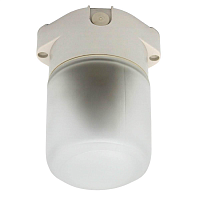 Купить Потолочный светильник ЭРА Лидер НББ 01-60-001 Б0048030 в Туле