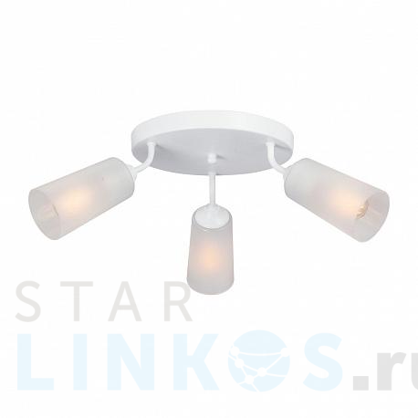 Купить Потолочная люстра Vitaluce V4273-0/3PL за 2 902 руб. в Туле фото 2 Купить с доставкой Потолочная люстра Vitaluce V4273-0/3PL в Туле фото 2