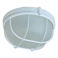 Купить Настенно-потолочный светильник ЭРА Акватермо НБП 03-100-002 Б0048422 в Туле