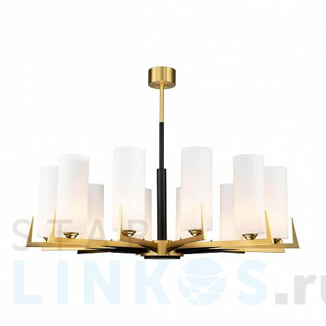 Купить Подвесная люстра Favourite Maximo 2623-12P за 67 900 руб. в Туле фото 2 Купить с доставкой Подвесная люстра Favourite Maximo 2623-12P в Туле фото 2