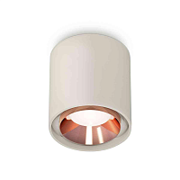Купить Комплект накладного светильника Ambrella light Techno Spot XS7724005 SGR/PPG серый песок/золото розовое полированное (C7724, N7035) в Туле