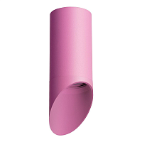 Купить Потолочный светильник Lightstar Rullo (214432+201432) R43232 в Туле