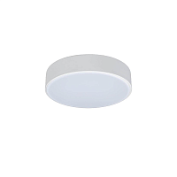 Купить Потолочный светодиодный светильник Loft IT Axel 10002/12 white в Туле