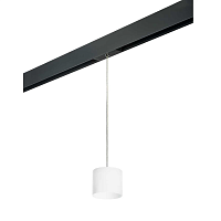 Купить Трековый светильник Lightstar Rullo (213486+595887) PRORP3486 в Туле