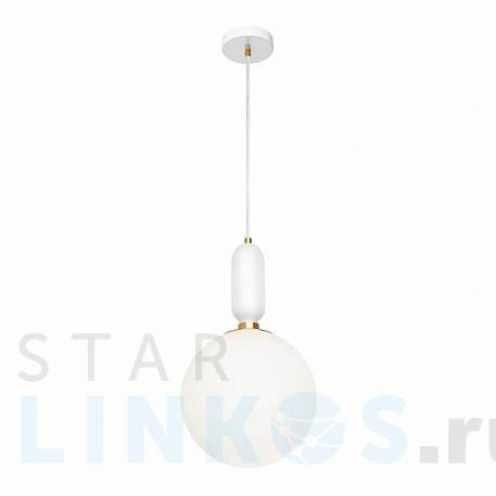 Купить Подвесной светильник Loft IT Parachilna 9975-C за 9 160 руб. в Туле фото 2 Купить с доставкой Подвесной светильник Loft IT Parachilna 9975-C в Туле фото 2