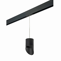 Купить Трековый светильник Lightstar Rullo (213487+595887+201487) PRORP348787 в Туле