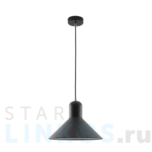 Купить Подвесной светильник Camelion PL-602L C02 14557 за 6 580 руб. в Туле Купить с доставкой Подвесной светильник Camelion PL-602L C02 14557 в Туле