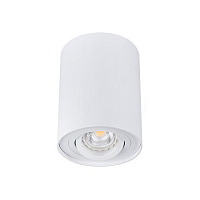 Купить Точечный светильник Kanlux BORD DLP-50-W 22551 в Туле