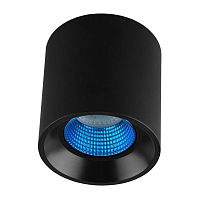 Купить Потолочный светильник Denkirs DK3020BСY DK3090-BK+CY в Туле