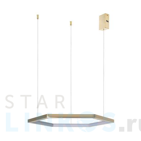 Купить Подвесной светодиодный светильник Loft IT Ring 10016S за 13 600 руб. в Туле фото 2 Купить с доставкой Подвесной светодиодный светильник Loft IT Ring 10016S в Туле фото 2