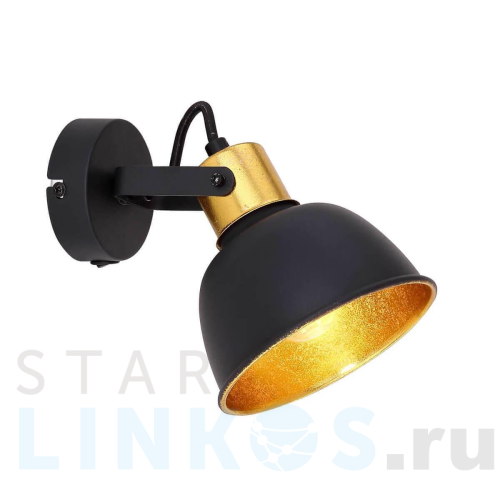 Купить Спот Globo Fillo 54655-1 за 5 920 руб. в Туле Купить с доставкой Спот Globo Fillo 54655-1 в Туле