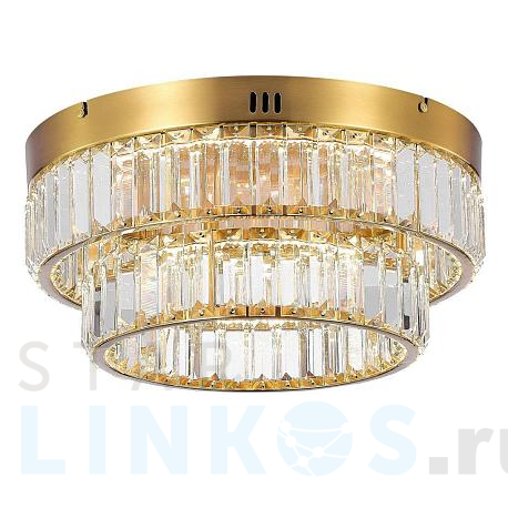 Купить Потолочный светодиодный светильник MyFar Irina MR2011-2CL за 29 985 руб. в Туле фото 2 Купить с доставкой Потолочный светодиодный светильник MyFar Irina MR2011-2CL в Туле фото 2