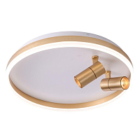 Купить Потолочная светодиодная люстра Zortes Raizy ZRS.1888.02 в Туле