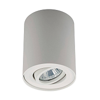 Купить Потолочный светильник Zumaline Rondoo sl 1 20038-WH в Туле