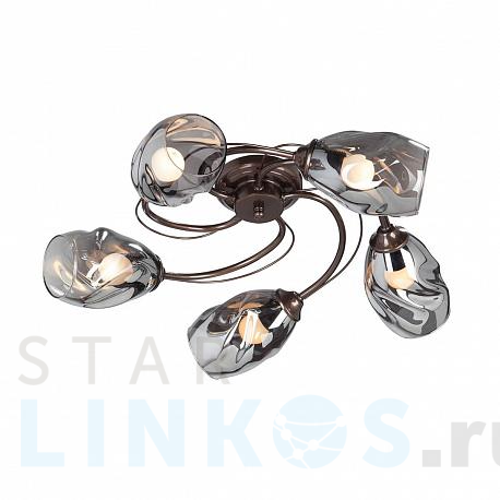 Купить Потолочная люстра Vitaluce V4937-7/5PL за 8 102 руб. в Туле фото 2 Купить с доставкой Потолочная люстра Vitaluce V4937-7/5PL в Туле фото 2