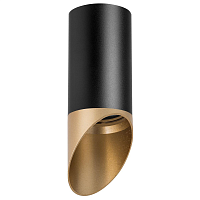 Купить Потолочный светильник Lightstar Rullo (214437+201440) R437140 в Туле