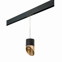 Купить Трековый светильник Lightstar Rullo (213487+595887+201490) PRORP3487190 в Туле