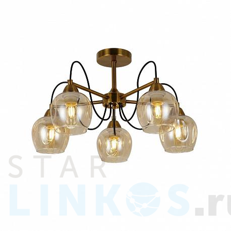 Купить Потолочная люстра Evoluce Acro SLE110002-05 за 10 560 руб. в Туле фото 2 Купить с доставкой Потолочная люстра Evoluce Acro SLE110002-05 в Туле фото 2