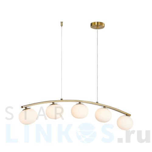 Купить Подвесная люстра Favourite Arcata 4055-5P за 27 000 руб. в Туле Купить с доставкой Подвесная люстра Favourite Arcata 4055-5P в Туле