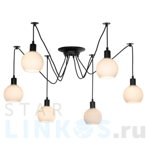 Купить Подвесная люстра Lussole Lgo Shirley LSP-8439 за 10 706 руб. в Туле Купить с доставкой Подвесная люстра Lussole Lgo Shirley LSP-8439 в Туле