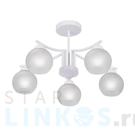 Купить Потолочная люстра Vitaluce V4286-0/5PL за 14 575 руб. в Туле фото 2 Купить с доставкой Потолочная люстра Vitaluce V4286-0/5PL в Туле фото 2