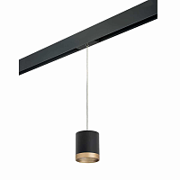 Купить Трековый светильник Lightstar Rullo (213487+595887+203490) PRORP348790 в Туле