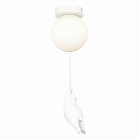 Купить Потолочный светильник Evoluce MODENA SLE115402-01 в Туле