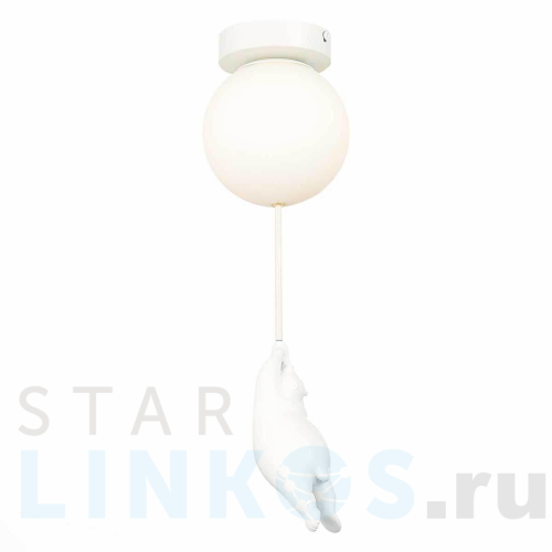 Купить Потолочный светильник Evoluce MODENA SLE115402-01 за 5 730 руб. в Туле Купить с доставкой Потолочный светильник Evoluce MODENA SLE115402-01 в Туле