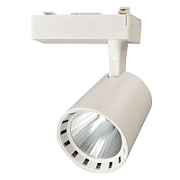 Купить Трековый светодиодный светильник Jazzway PTR 0325 5010581 в Туле