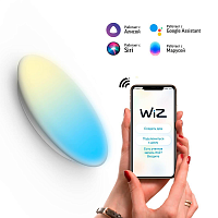 Купить Накладной светодиодный светильник Gauss Smart Home 2060112 в Туле