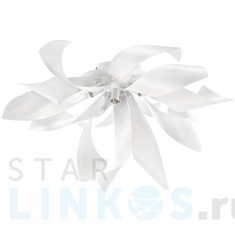 Купить Потолочная люстра Lightstar Turbio 754166 за 16 371 руб. в Туле фото 2 Купить с доставкой Потолочная люстра Lightstar Turbio 754166 в Туле фото 2