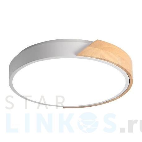 Купить Потолочный светодиодный светильник Jazzway PPB Sсandic-R 5036932 за 3 599 руб. в Туле фото 2 Купить с доставкой Потолочный светодиодный светильник Jazzway PPB Sсandic-R 5036932 в Туле фото 2