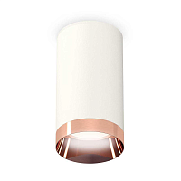 Купить Комплект потолочного светильника Ambrella light Techno Spot XC (C6322, N6135) XS6322025 в Туле