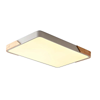 Купить Потолочный светильник Zortes ALBERRO ZRS.01233.60 в Туле