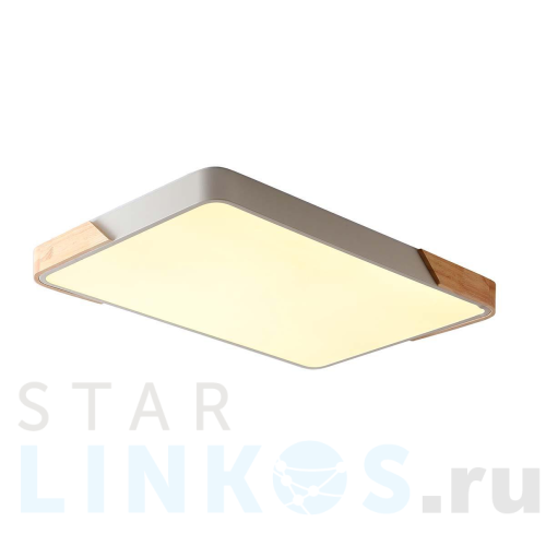 Купить Потолочный светильник Zortes ALBERRO ZRS.01233.60 за 14 850 руб. в Туле Купить с доставкой Потолочный светильник Zortes ALBERRO ZRS.01233.60 в Туле