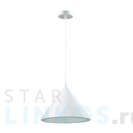 Купить Подвесной светодиодный светильник Lumion Ledio Lenny 3723/24L за 8 450 руб. в Туле фото 2 Купить с доставкой Подвесной светодиодный светильник Lumion Ledio Lenny 3723/24L в Туле фото 2