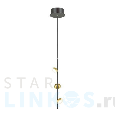 Купить Подвесная светодиодная люстра Odeon Light L-vision Verica 4156/9L за 2 880 руб. в Туле фото 2 Купить с доставкой Подвесная светодиодная люстра Odeon Light L-vision Verica 4156/9L в Туле фото 2