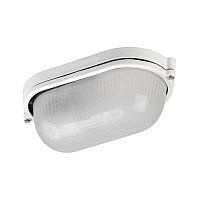 Купить Настенно-потолочный светильник IEK НПП LNPP0-1401-1-060-K01 в Туле