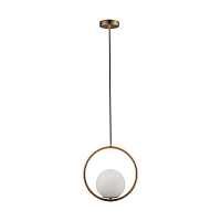 Купить Подвесной светильник Loft IT Glob LOFT2600-A в Туле