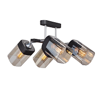 Купить Потолочная люстра Vitaluce V4895-1/4PL в Туле